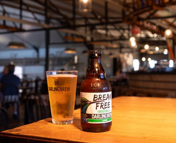 Darling Brew Unveils New Gluten-Free Lager Option for Health-Conscious Beer Enthusiasts
